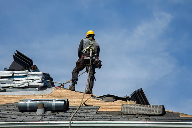 Professional Gutter Installation technician working in Chiefland, FL